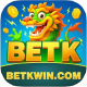 betkwin.com favicon
